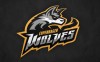 Copenhagen Wolves Disbands