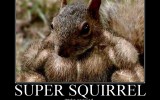 Vote for SUPER SQUIRREL as next DotA hero!
