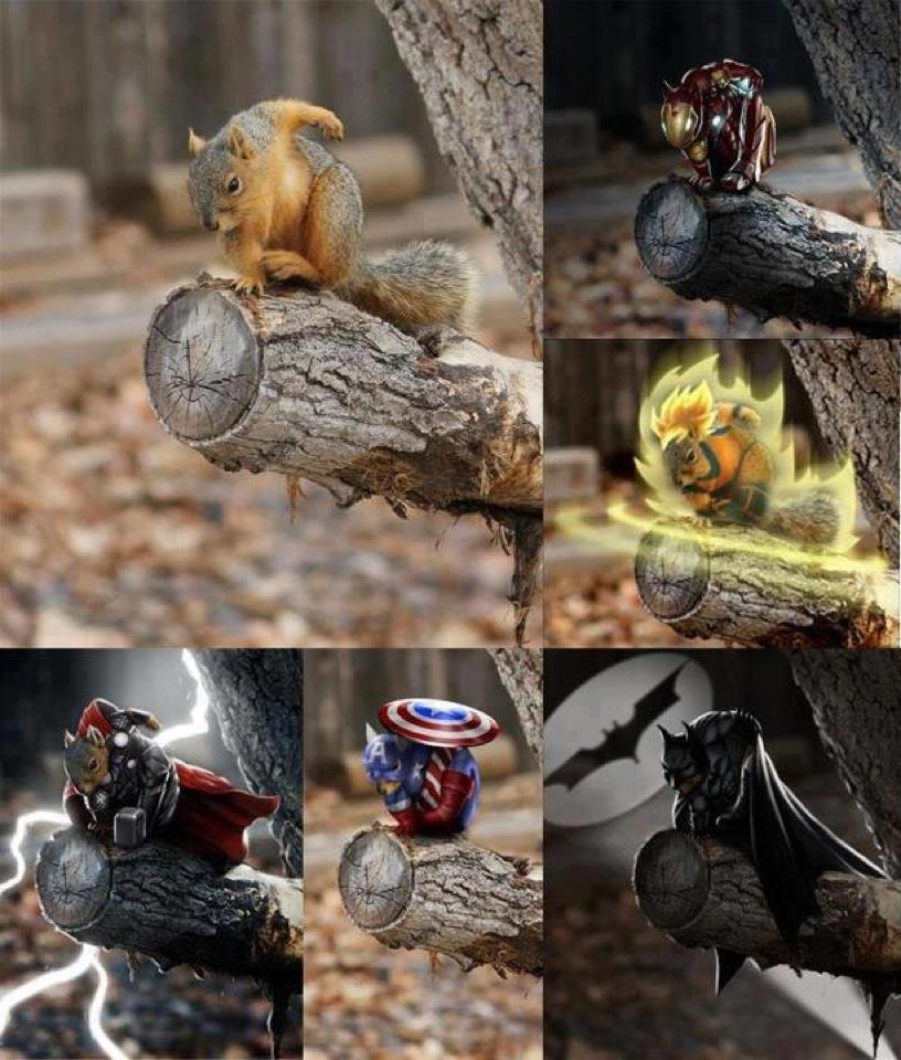 super hero squirrel